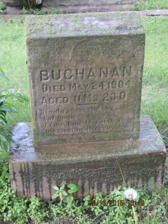 BUCHANAN, INFANT - Dallas County, Iowa | INFANT BUCHANAN 