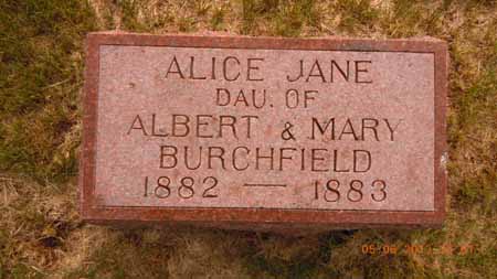 BURCHFIELD, ALICE JANE - Dallas County, Iowa | ALICE JANE BURCHFIELD 