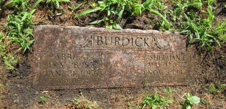 BURDICK, SHERMAN E - Dallas County, Iowa | SHERMAN E BURDICK 