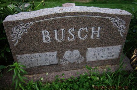 BUSCH, BARBARA JEAN - Dallas County, Iowa | BARBARA JEAN BUSCH 