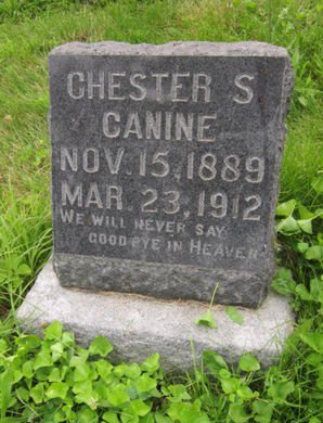 CANINE, CHESTER S - Dallas County, Iowa | CHESTER S CANINE 