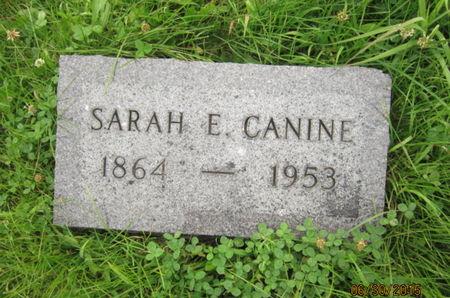 CANINE, SARAH E - Dallas County, Iowa | SARAH E CANINE 