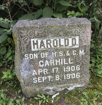 CARHILL, HAROLD D - Dallas County, Iowa | HAROLD D CARHILL 