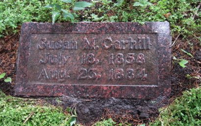 CARHILL, SUSAN M - Dallas County, Iowa | SUSAN M CARHILL 