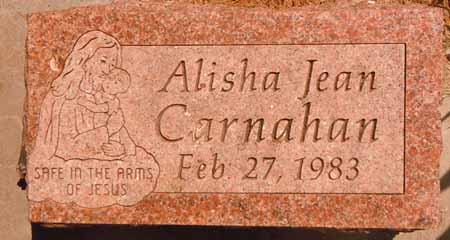CARNAHAN, ALISHA JEAN - Dallas County, Iowa | ALISHA JEAN CARNAHAN 