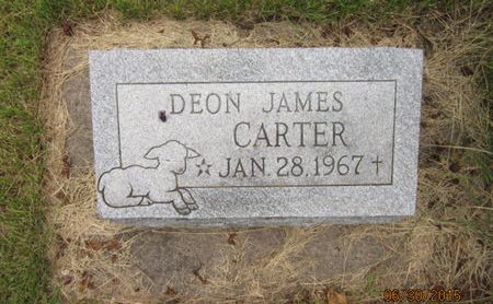 CARTER, DEON JAMES - Dallas County, Iowa | DEON JAMES CARTER 