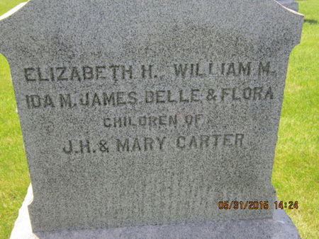 CARTER, J H - Dallas County, Iowa | J H CARTER 