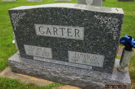 CARTER, GOLDIE E - Dallas County, Iowa | GOLDIE E CARTER 