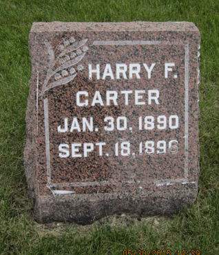 CARTER, HARRY F - Dallas County, Iowa | HARRY F CARTER 