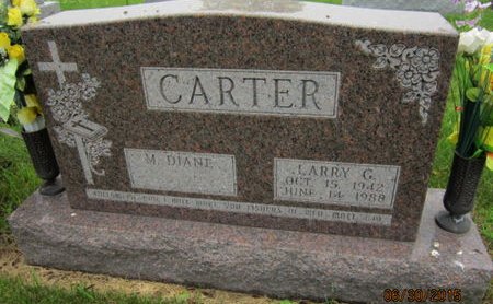 CARTER, LARRY G - Dallas County, Iowa | LARRY G CARTER 