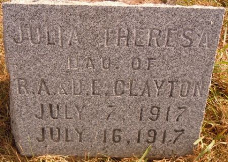 CLAYTON, JULIA THERESA - Dallas County, Iowa | JULIA THERESA CLAYTON 