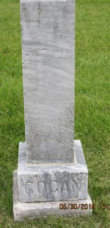 COGAN, FAMILY STONE - Dallas County, Iowa | FAMILY STONE COGAN 