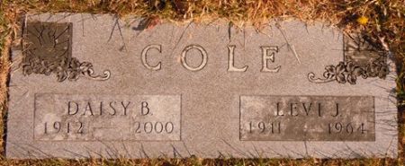 COLE, LEVI J. - Dallas County, Iowa | LEVI J. COLE 