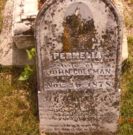 COLEMAN, PERMELIA - Dallas County, Iowa | PERMELIA COLEMAN 