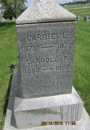 CRANE, CARRIE L - Dallas County, Iowa | CARRIE L CRANE 