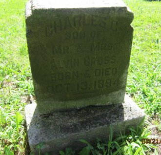 GROSS, CHARLES C - Dallas County, Iowa | CHARLES C GROSS 