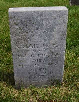 CURTIS, CHARLIE M - Dallas County, Iowa | CHARLIE M CURTIS 
