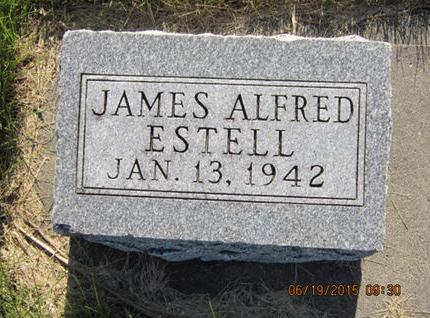 ESTELL, JAMES ALFRED - Dallas County, Iowa | JAMES ALFRED ESTELL 
