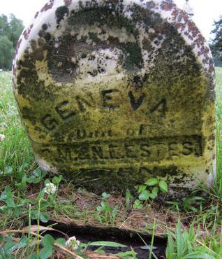 ESTES, GENEVA - Dallas County, Iowa | GENEVA ESTES 