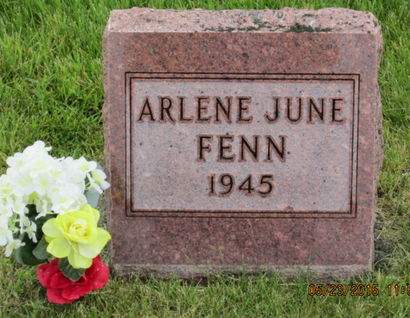 FENN, ARLENE JUNE - Dallas County, Iowa | ARLENE JUNE FENN 