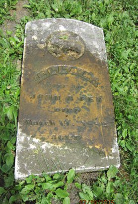 FEY, ELLA M - Dallas County, Iowa | ELLA M FEY 