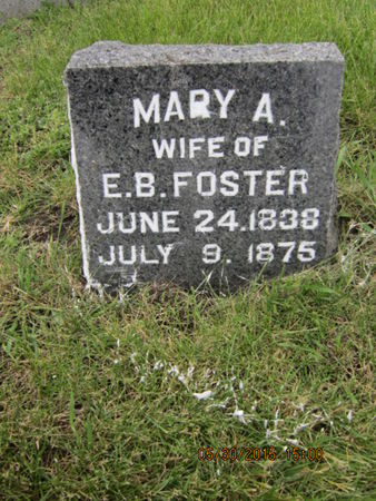 FOSTER, MARY A - Dallas County, Iowa | MARY A FOSTER 