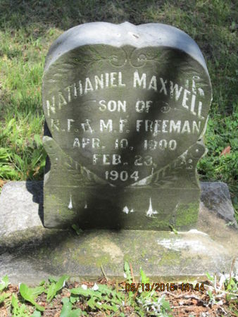 FREEMAN, NATHANIEL MAXWELL - Dallas County, Iowa | NATHANIEL MAXWELL FREEMAN 