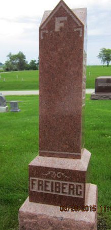 FREIBERG, FAMILY STONE - Dallas County, Iowa | FAMILY STONE FREIBERG 