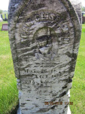 GEISELMAN, ADAM - Dallas County, Iowa | ADAM GEISELMAN 