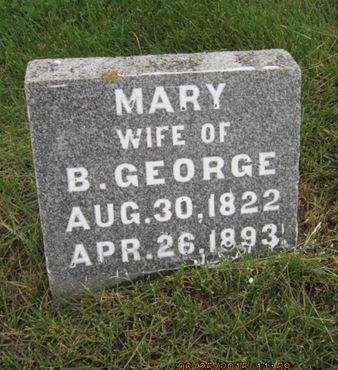 GEORGE, MARY - Dallas County, Iowa | MARY GEORGE 