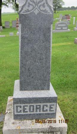 GEORGE, FAMILY STONE - Dallas County, Iowa | FAMILY STONE GEORGE 