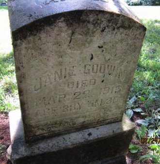 GODWIN, JANIE - Dallas County, Iowa | JANIE GODWIN 