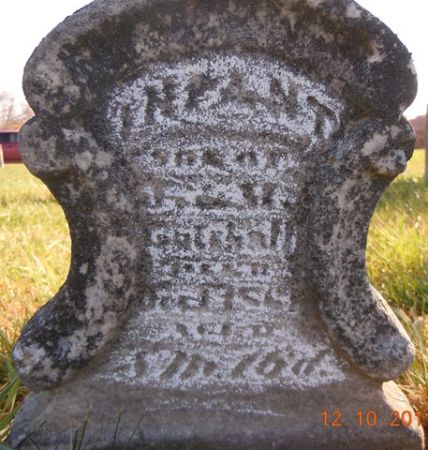 GOTSHALL, INFANT - Dallas County, Iowa | INFANT GOTSHALL 