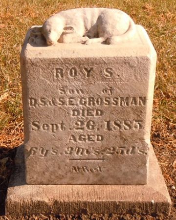 GROSSMAN, ROY S. - Dallas County, Iowa | ROY S. GROSSMAN 