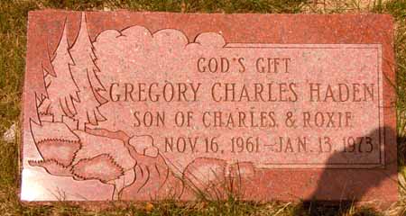 HADEN, GREGORY CHARLES - Dallas County, Iowa | GREGORY CHARLES HADEN 