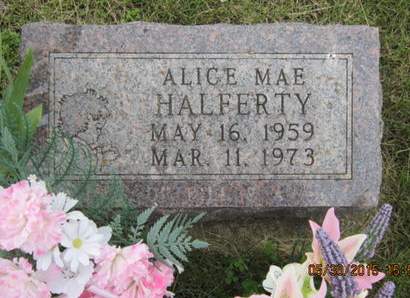 HALFERTY, ALICE MAE - Dallas County, Iowa | ALICE MAE HALFERTY 