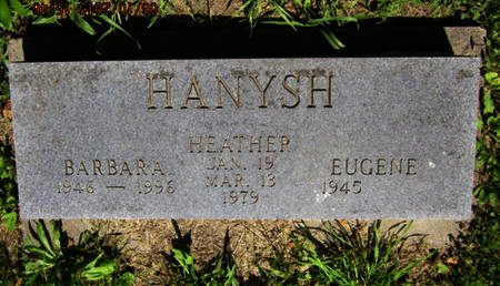 HANYSH, HEATHER - Dallas County, Iowa | HEATHER HANYSH 