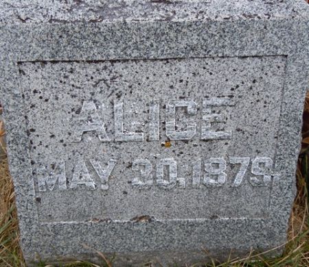 HARRISON, ALICE - Dallas County, Iowa | ALICE HARRISON 