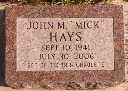 HAYS, JOHN M. - Dallas County, Iowa | JOHN M. HAYS 