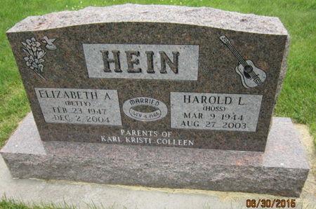 HEIN, ELIZABETH A - Dallas County, Iowa | ELIZABETH A HEIN 