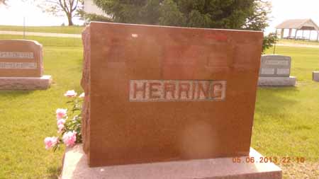 HERRING, FAMILY STONE - Dallas County, Iowa | FAMILY STONE HERRING 