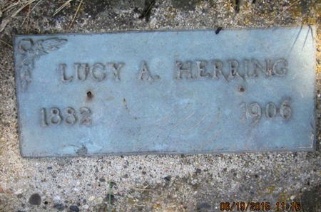 HERRING, LUCY A - Dallas County, Iowa | LUCY A HERRING 