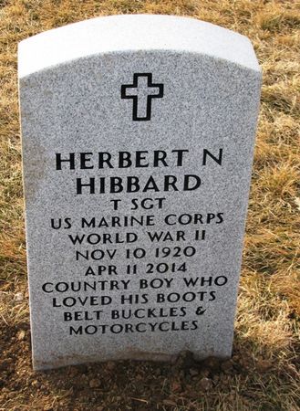 HIBBARD, HERBERT N - Dallas County, Iowa | HERBERT N HIBBARD 