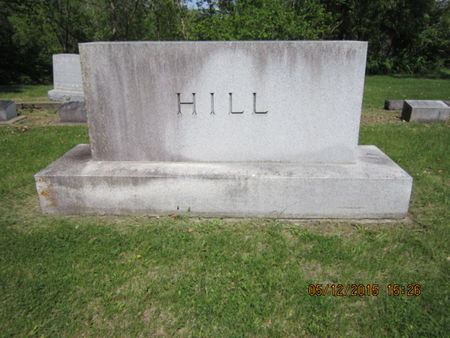 HILL, FAMILY STONE - Dallas County, Iowa | FAMILY STONE HILL 