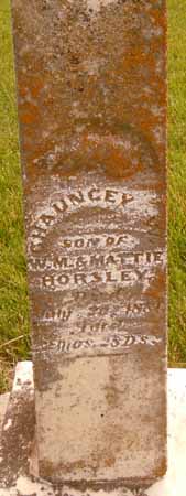 HORSLEY, CHAUNCEY W - Dallas County, Iowa | CHAUNCEY W HORSLEY 