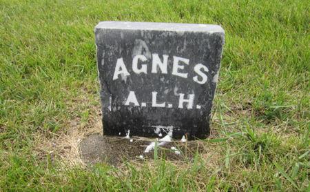 HOWELL, AGNES L - Dallas County, Iowa | AGNES L HOWELL 