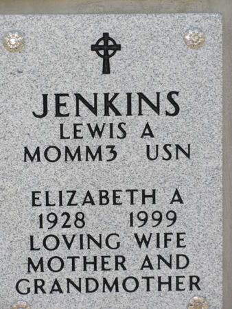 JENKINS, ELIZABETH A - Dallas County, Iowa | ELIZABETH A JENKINS 