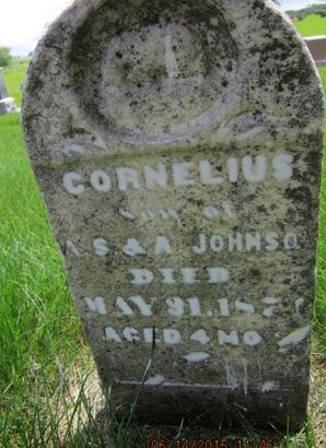 JOHNSON, CORNELIUS - Dallas County, Iowa | CORNELIUS JOHNSON 