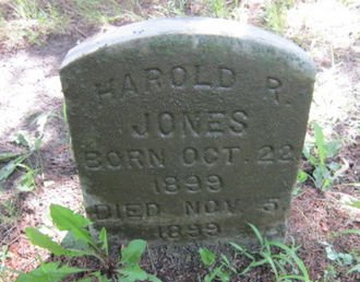 JONES, HAROLD R - Dallas County, Iowa | HAROLD R JONES 