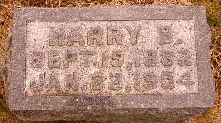 JONES, HARRY B - Dallas County, Iowa | HARRY B JONES 